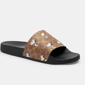 Coach X Peanuts Udele Sport Slide In Signature Canvas With Snoopy Print CBR44